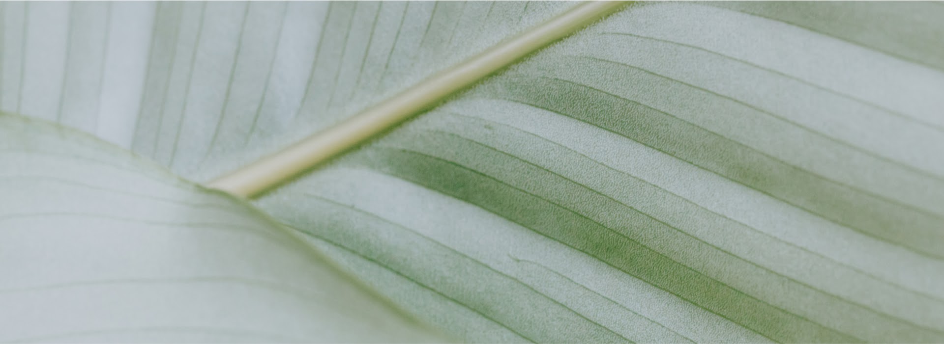 Nutrition_Consultant_bg_footer3.jpg Nutrition_Consultant_bg_footer3.jpg